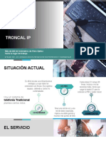 Troncal Ip PDF
