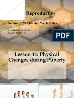 Changes During Puberty