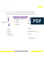 Trabajo de Celulas Innata, Adquirida