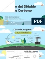 Ciclos Bioquimicos PDF