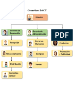 Organigrama Vertical