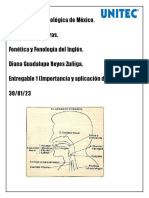 Entregable 1 - Reyes Zuñiga Diana Guadalupe