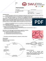 Template para Lab Exe 2 The NEMATODES PDF