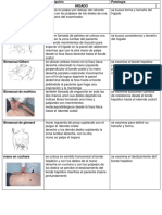 Maniobras Sistema Digestivo