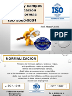 Tema 5. ISO-9000 PDF
