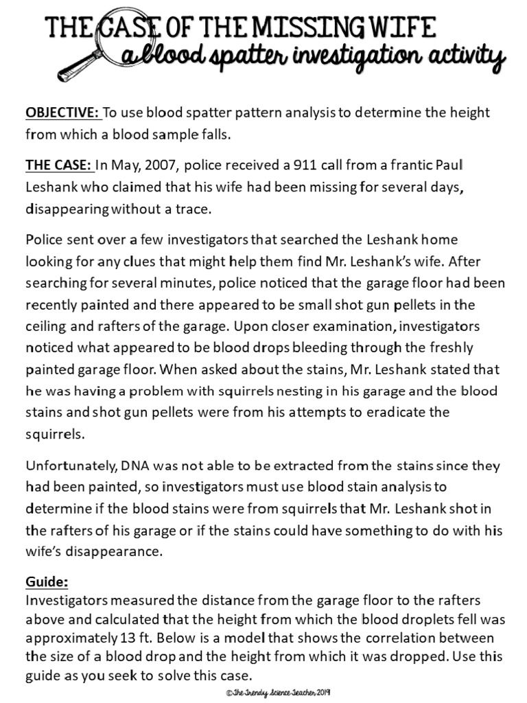 The Case of The Missing Wife Investigation | PDF
