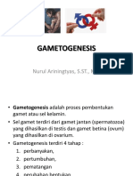 5 Gametogenesis
