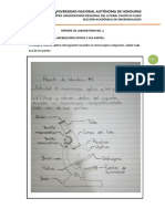 REPORTE DE LABORATORIO No. 2 MB GENERAL