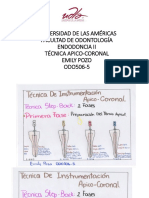 Gráfico Sobre La Tecnica Apico-Coronal