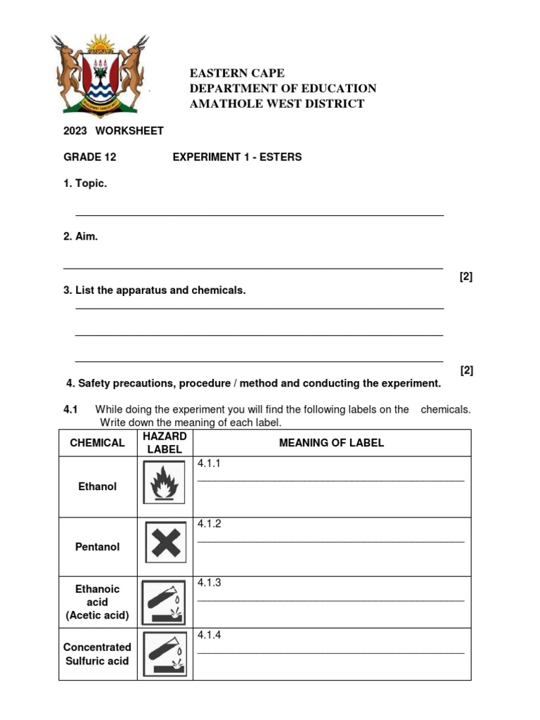 2023 Worksheet Esters PDF PDF