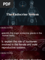 Endocrine System Handout | PDF | Endocrine System | Menstrual Cycle