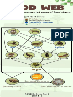 Food Web-Aquino