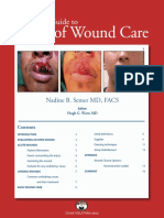 Basics of Wounds Care PDF