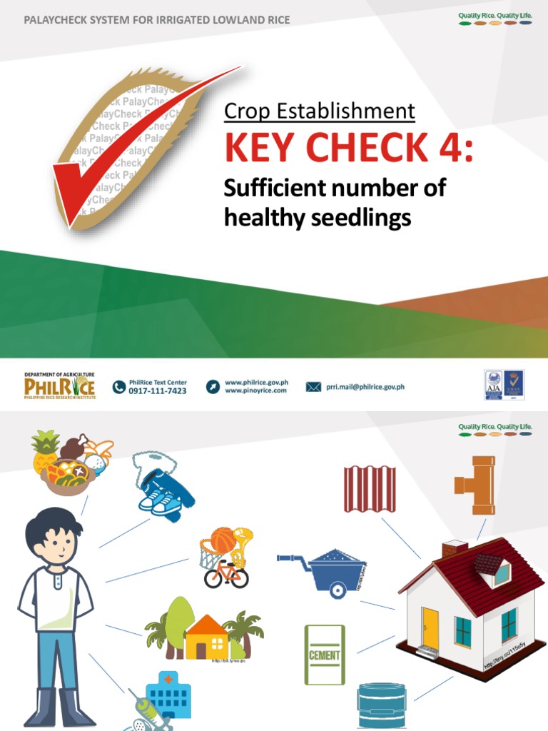 CR Key Check 4 - FINALdraft | PDF | Seedling | Seed