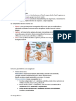 sistema circulatorio