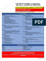 Scope of Practice - BN Year 3 2022