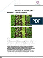 Orticoltura biologica, al via il progetto OliessBio - Vivere Urbino.it, 14 marzo 2023