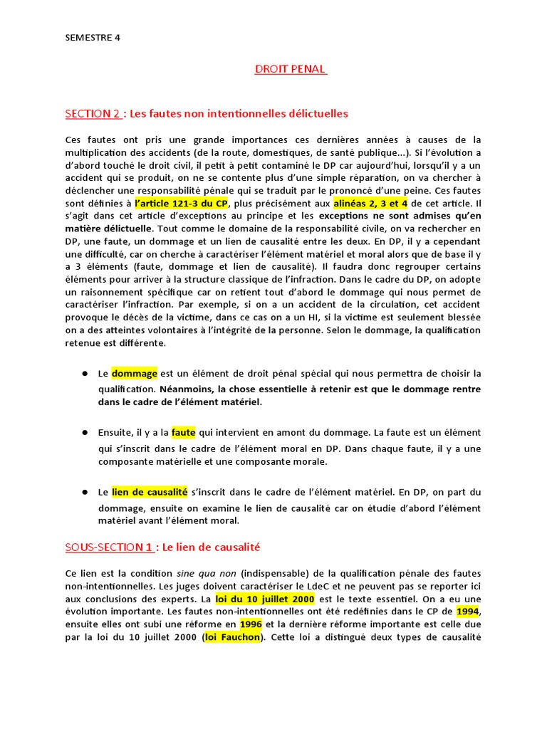 Cours de Droit Pénal | PDF | Risque | Loi criminelle