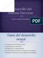 Clase 2 Desarrollo Del Sistema Nervioso