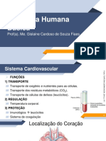 Anatomia Humana Básica - UN2 - Vídeo 03