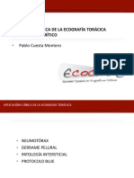 2.4. Aplicacion Clinica de La Ecografia Toracica en El Critico