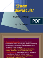 Cardiovascular 1 (Jantung)