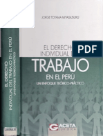 Tomaya - Derecho Individualista Del Trabajo PDF