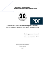 Cilantras PDF