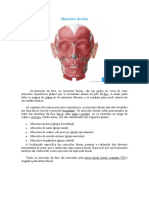 Músculos da face: anatomia e funções