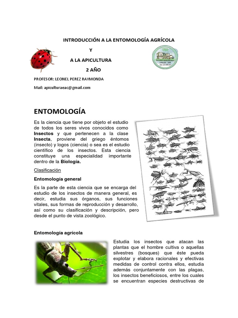 Apunte Introd A La Entom e Insectos PDF | PDF | Insectos | Entomología