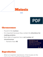 10 - Meiosis Notes