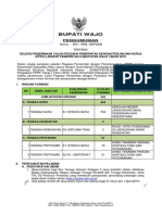 Pengumuman Penerimaan P3K Kabupaten Wajo Tahun 2019 PDF