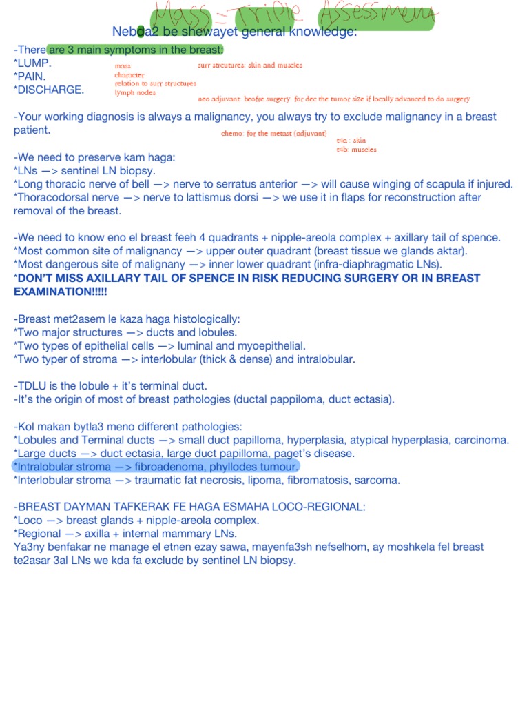 Breast | PDF | Breast Cancer | Cancer