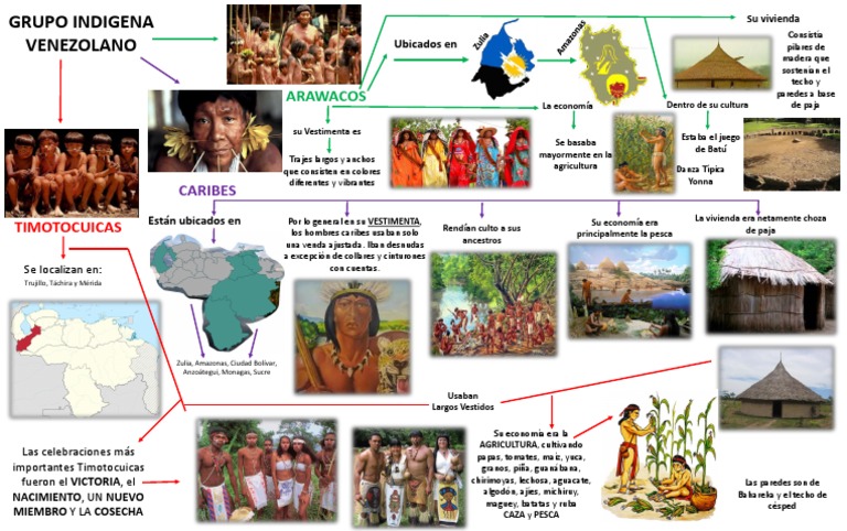 Mapa Mental Grupo Indigena | Descargar gratis PDF | Pueblos Indígenas ...