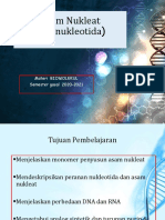 BCB Asam Nukleat PDF