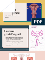 Cangerul vaginal.decizii.pptx