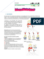 Probabilidades de hereditariedade e daltonismo