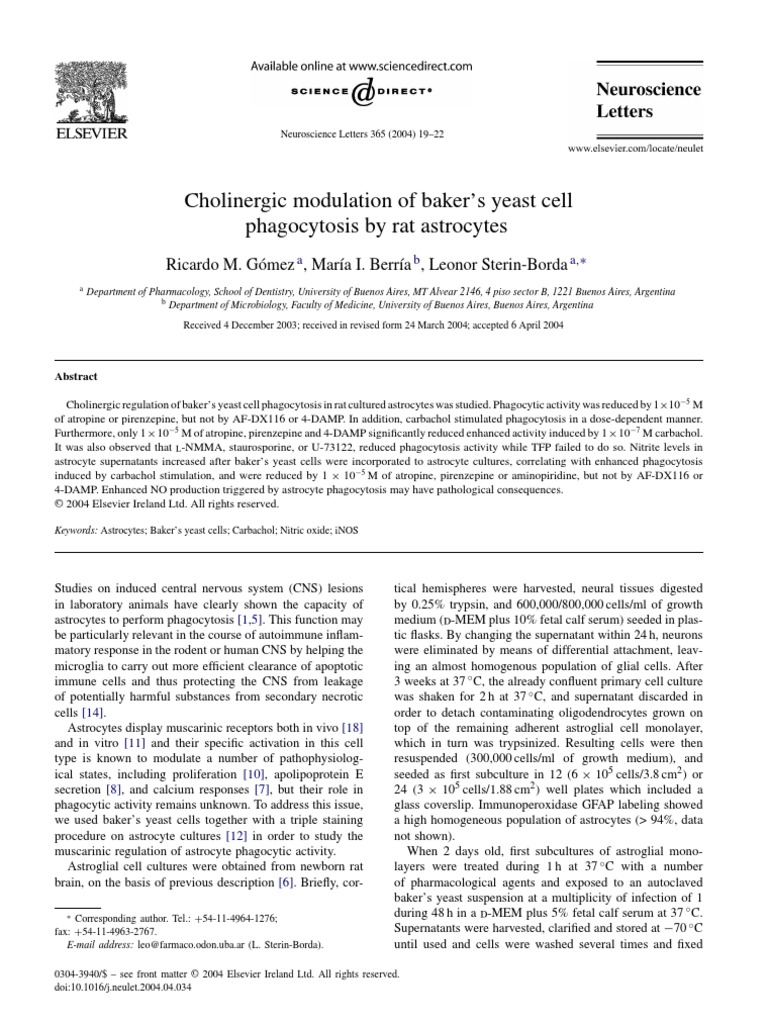 Cholinergic Modulation of Baker's Yeast Cell Phagocytosis by Rat
