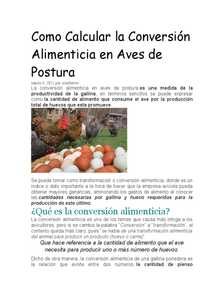 Cálculo de Conversión Alimenticia en Gallinas | PDF | Huevo como ...