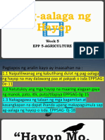 Epp 5 Lesson Week 5