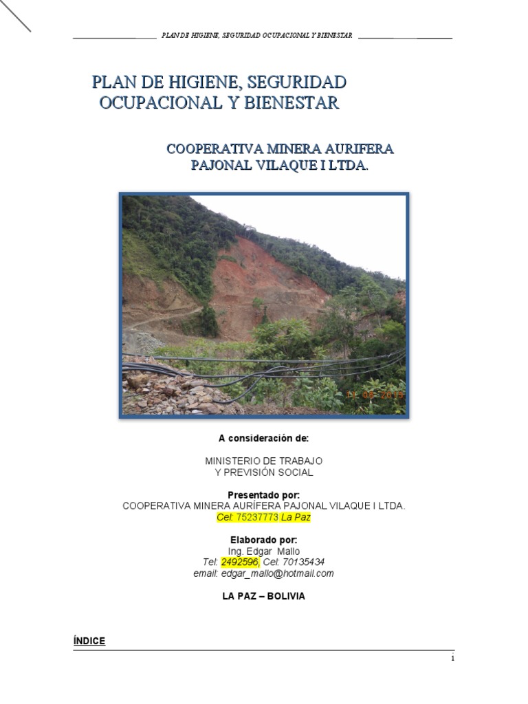 Plan de Seguridad y Bienestar Minero | PDF | Seguridad y salud ...