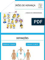 Herança genética: padrões de herança autossômica e ligada ao sexo