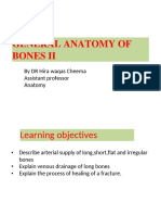 General Anatomy of Bones 2