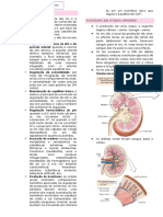 Fisiologia Do Sistema Urinário