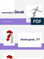 Sistem Gerak (Rangka)