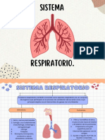 Sistema Respiratorio.
