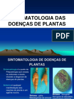 Aula 4 Sintomatologia PDF
