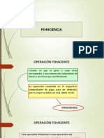 Fehaciencia y Capacidad PDF