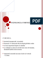 Patologia Corneei 2019