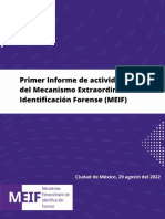 primer_informe_meif-identificacion forense